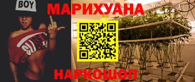 прущие грибы Ливны