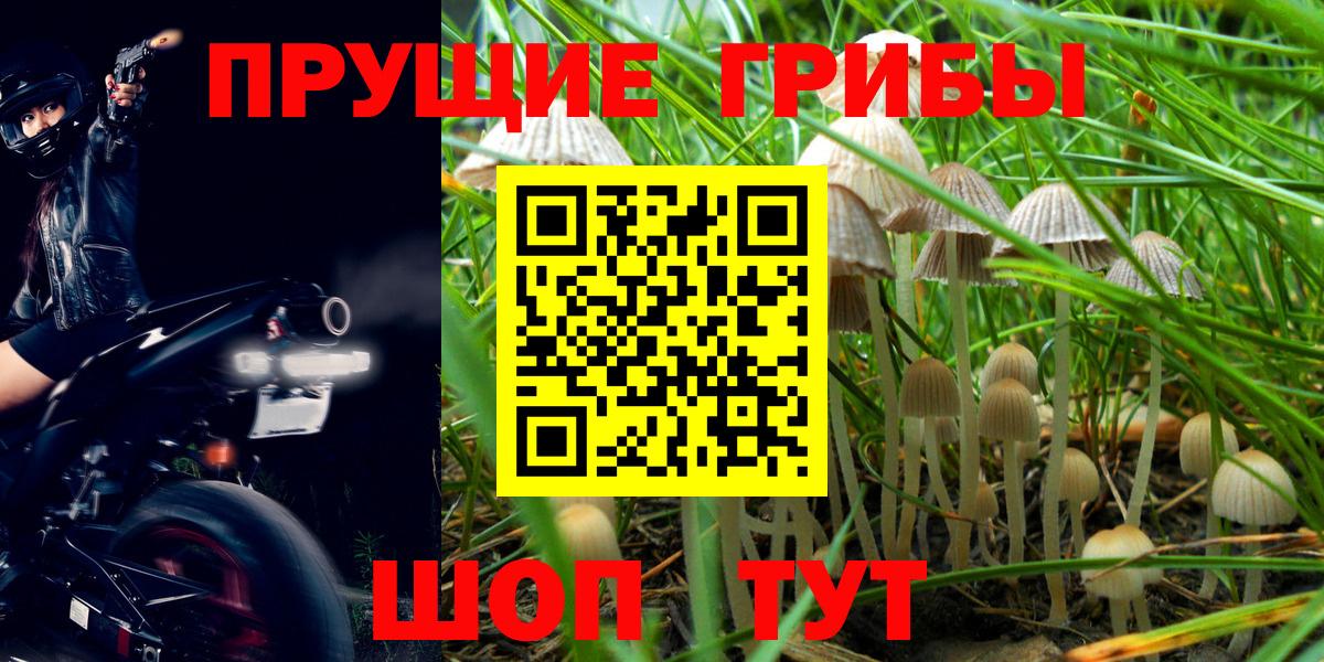 Галлюциногенные грибы Magic Shrooms Елизово